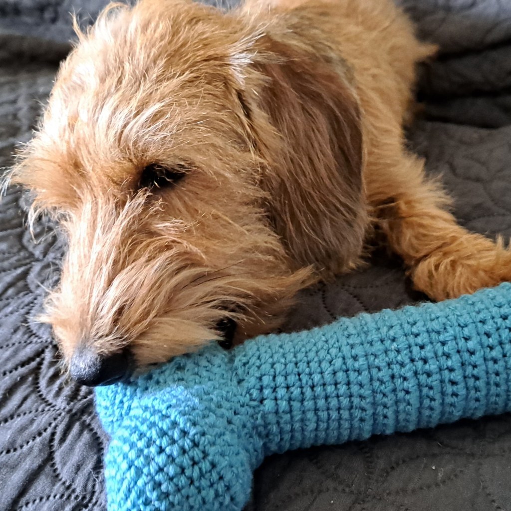 How to Choose the Right Dog Toys